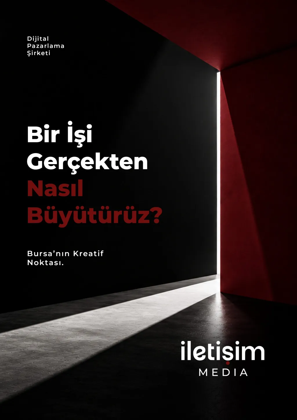 Bir İşi Gerçekten Nasıl Büyütürüz? kapağı