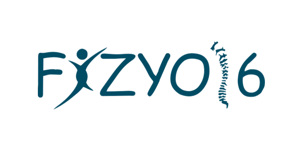 Fizyo16